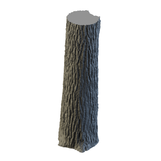 Animated view of a Tree model